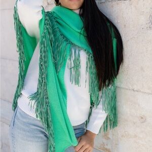 BNWT Wool and Cashmere Scarf💚